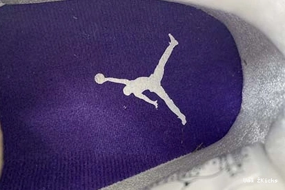 7591 Purple” “Court CT8527- 518 Jordan Air 4 Resilient 0908